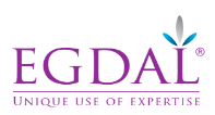 egdal logo image